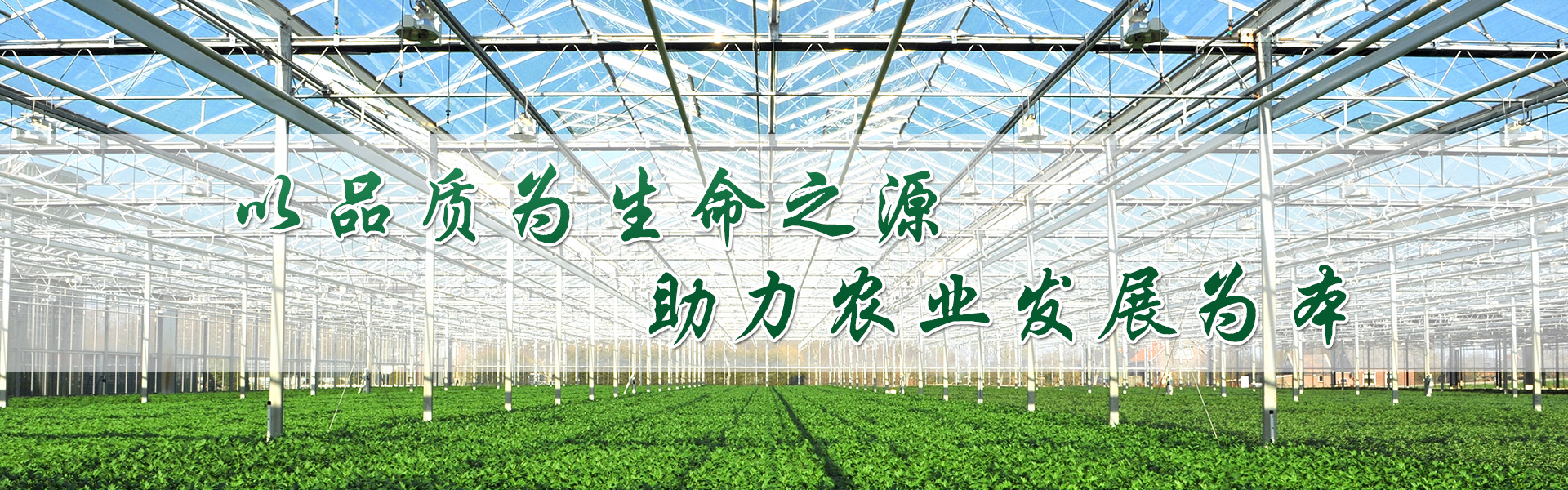 片式散熱器